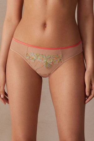 Intimissimi Candy Colors Panties Visebojne | SN-ITMSM57584