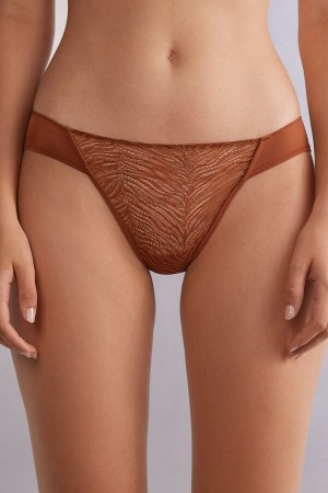 Intimissimi Go Animalier Panties Narančaste | SN-ITMSM57615