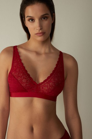 Intimissimi Lara Triangle Bra In Lace Crvene | SN-ITMSM56657