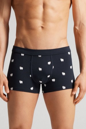 Intimissimi Sheep Boxers In Stretch Supima® Cotton Plave | SN-ITMSM58523