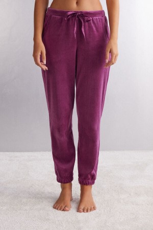 Intimissimi Velvet Paisley Chenille Full Length Pants Ljubičaste | SN-ITMSM58281