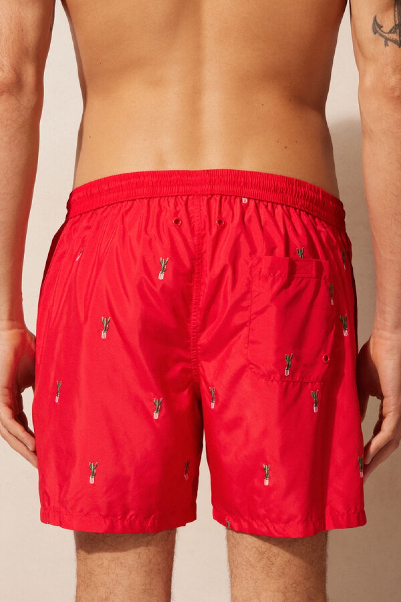 Intimissimi Embroide Cactus Swim Trunks Visebojne | SN-ITMSM58775