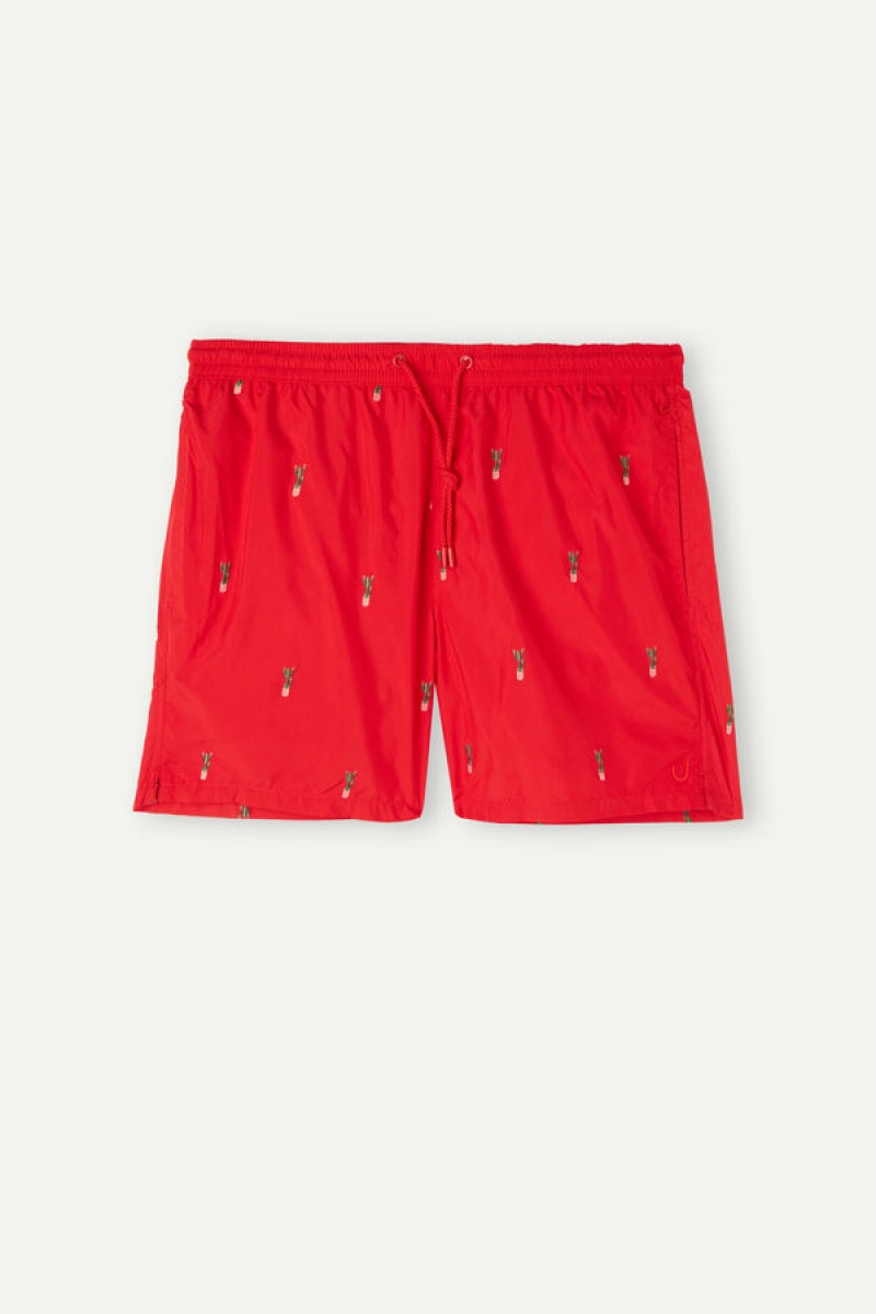 Intimissimi Embroide Cactus Swim Trunks Visebojne | SN-ITMSM58775