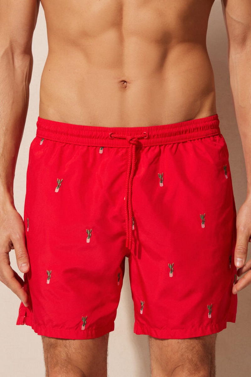 Intimissimi Embroide Cactus Swim Trunks Visebojne | SN-ITMSM58775