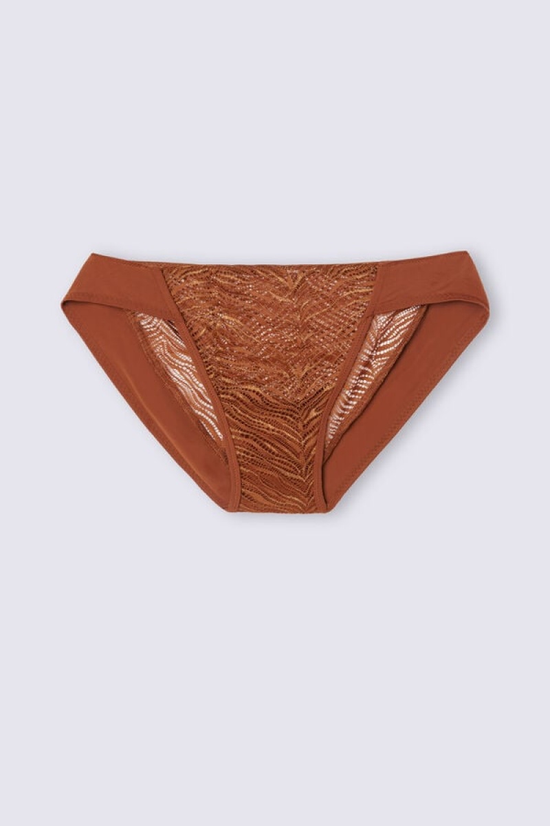 Intimissimi Go Animalier Panties Narančaste | SN-ITMSM57615