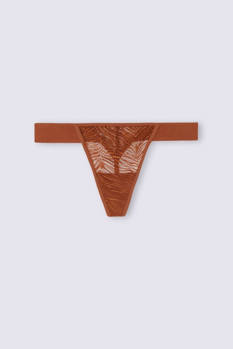 Intimissimi Go Animalier Thong Narančaste | SN-ITMSM57747