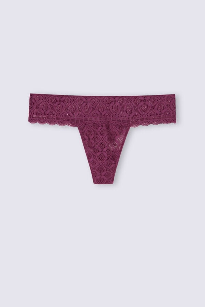 Intimissimi Lace Brazilian Ljubičaste | SN-ITMSM57484