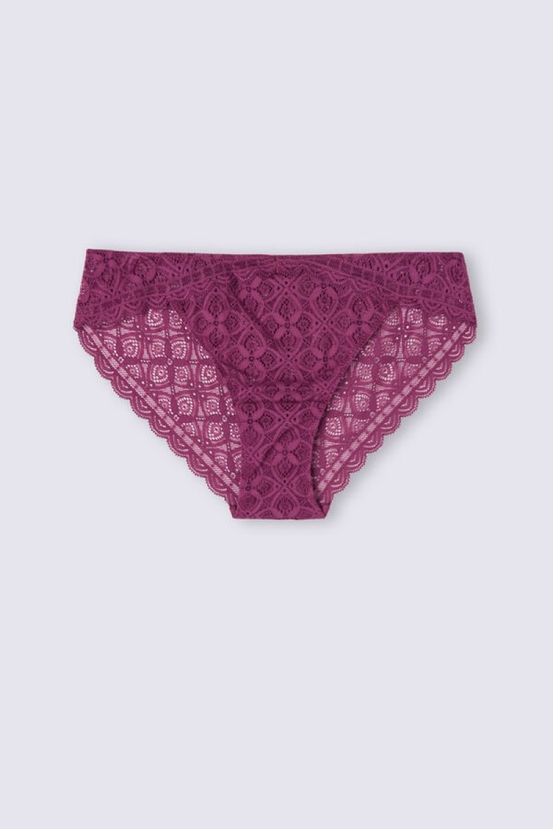 Intimissimi Low Rise Lace Panties Ljubičaste | SN-ITMSM57607