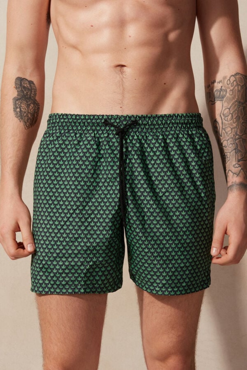 Intimissimi Micro Leaf Print Swim Trunks Zelene | SN-ITMSM58780