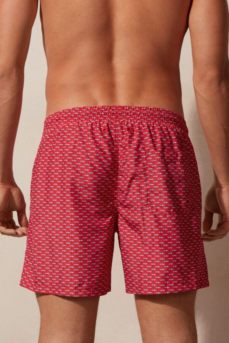 Intimissimi Micro Shark Print Swim Trunks Visebojne | SN-ITMSM58779