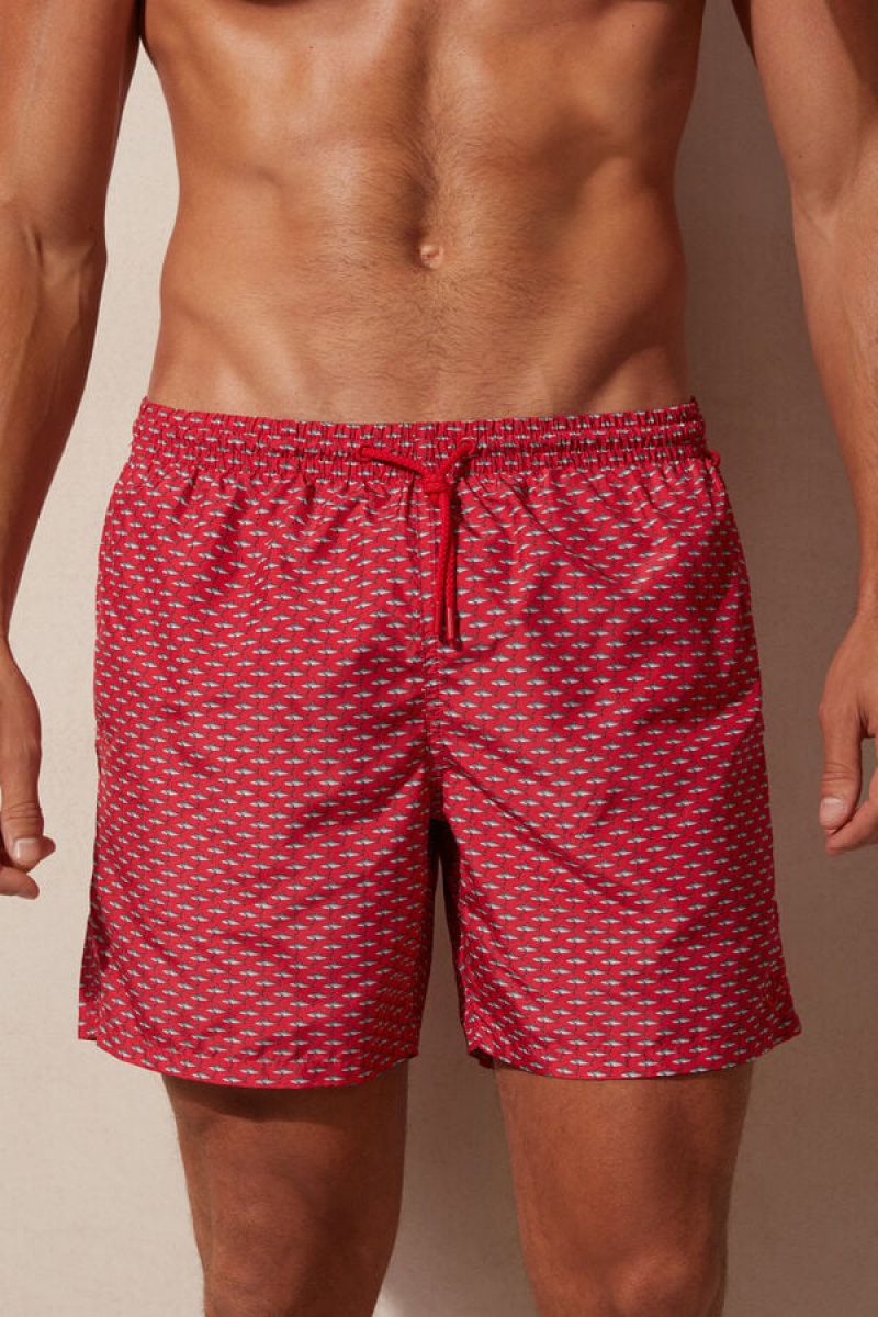 Intimissimi Micro Shark Print Swim Trunks Visebojne | SN-ITMSM58779