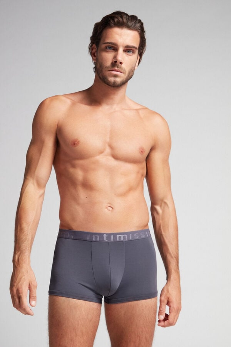 Intimissimi Microfiber Logo Boxer Shorts Sive | SN-ITMSM58490