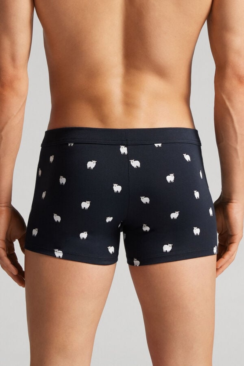 Intimissimi Sheep Boxers In Stretch Supima® Cotton Plave | SN-ITMSM58523