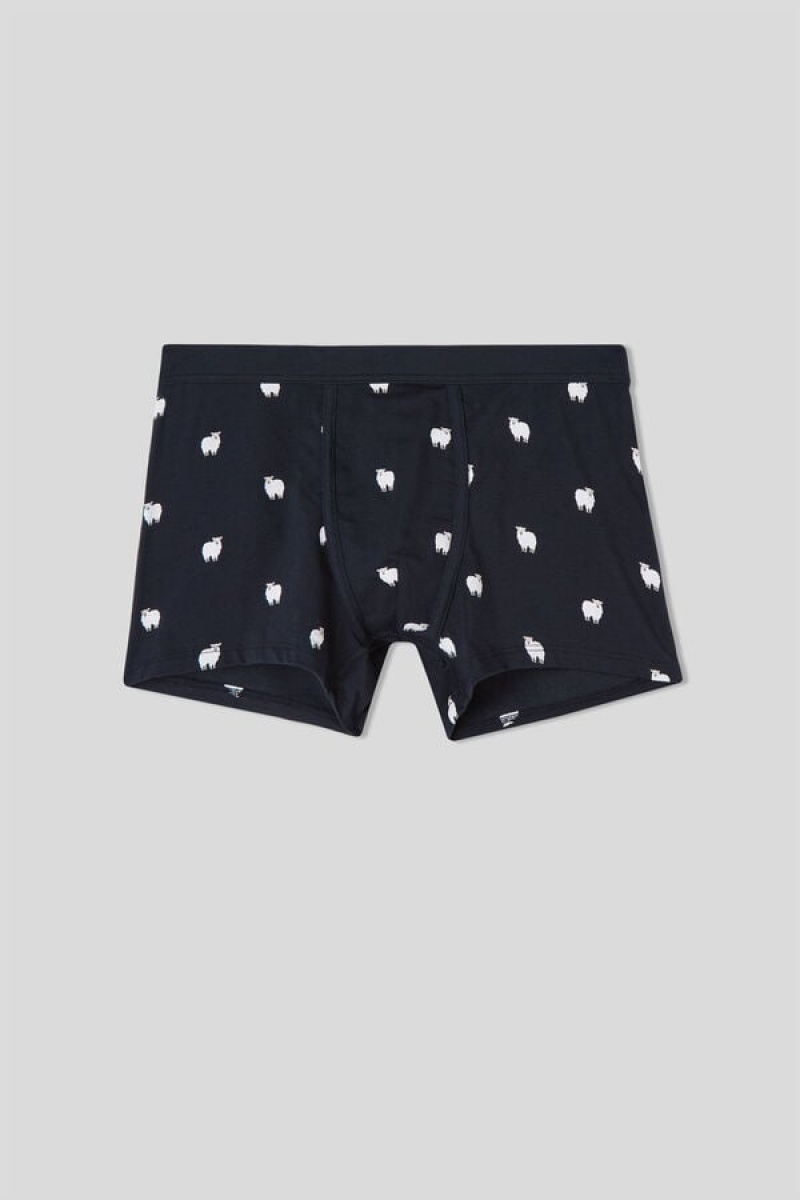 Intimissimi Sheep Boxers In Stretch Supima® Cotton Plave | SN-ITMSM58523