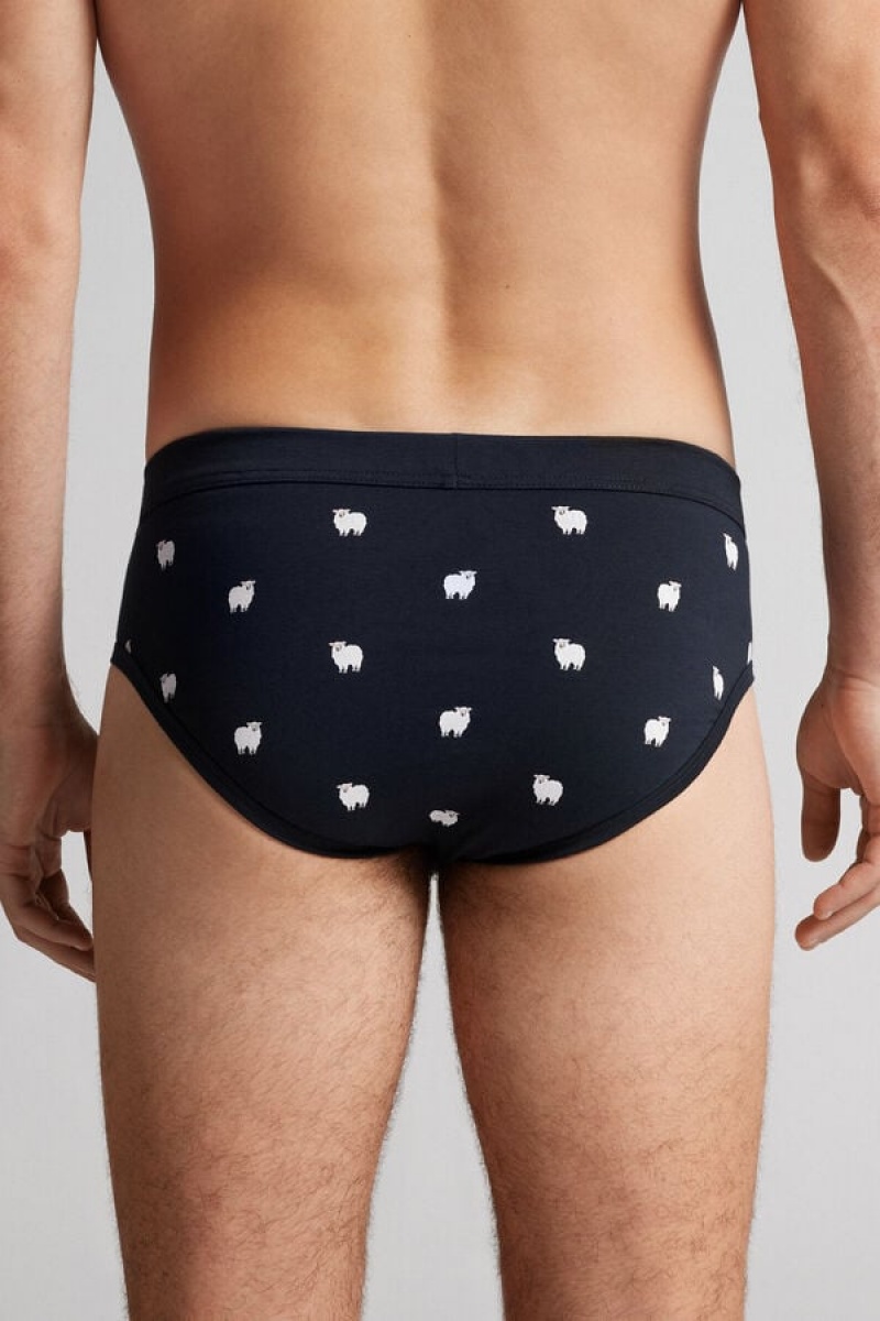 Intimissimi Sheep Briefs In Stretch Supima® Cotton Plave | SN-ITMSM58582