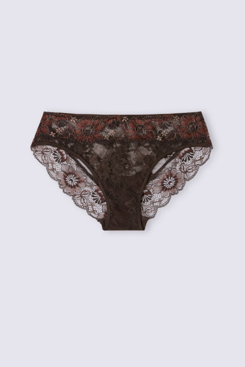 Intimissimi Winter Shades Panties Smeđe | SN-ITMSM57630